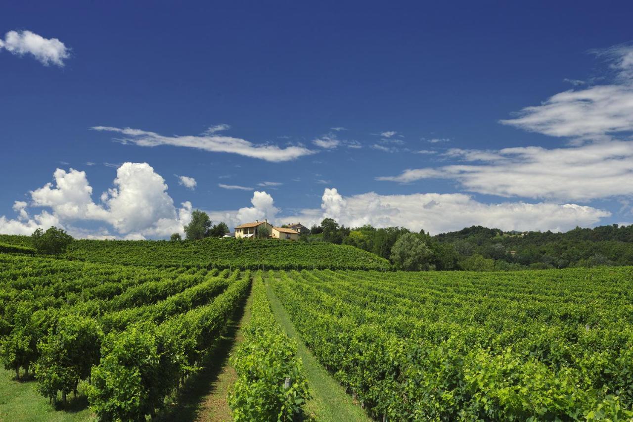 Agriturismo Moro Barel Виторио Венето Екстериор снимка